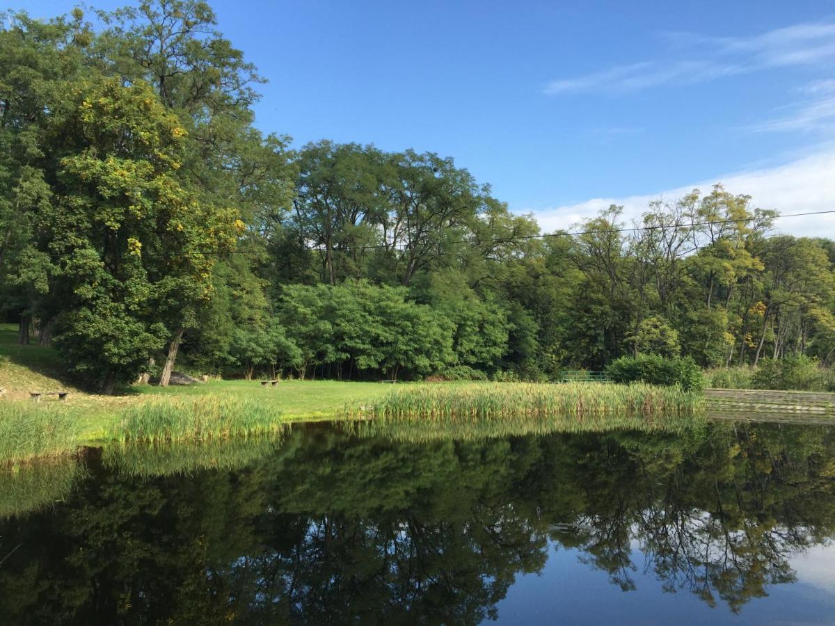 Отель Camping Lesne Ustronie Witnica Экстерьер фото
